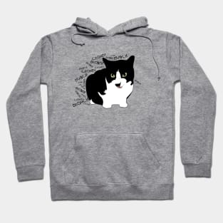 Cronch Cronch Crunchy Kitty Hoodie